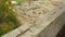 Top view of archaeology excavations site, remains of stone building foundation