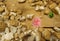 Top view of arranged white and golden pebbles, pink flower, green leaf on wooden background