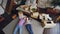 Top view of attractive husband and wife lying on bedroom floor in new house and having conversation. Young family