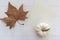 Top view of autumn composition with dry leaf, white pumpkin and blank page with copy space