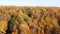 Top view of the autumn forest in bright sunny weather. Quadcopter flies over treetops with luscious golden, orange and yellow foli