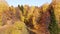 Top view of the autumn forest in bright sunny weather. Quadcopter flies over treetops with luscious golden, orange and yellow foli