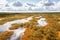 Top view of autumn landscape. Huge bog in Estonia