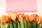 Top view background with tulips flowers. Flowers composition. Background with plants.