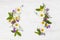 Top view on beautiful wild flowers on white wooden background. Frame wreath. Summer flowers, leaves and petals.