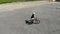 Top view bicycle woman riding a bike on round road in abandoned asphalt playground Young woman cycling a bike on circle