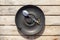 Top view of black saucer and leftover breakfast with cappuccino on wood background