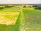 Top view blackberry farm with hays on land at rest in Texas, America