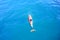 Top view of bottlenose dolphins in sea water