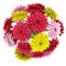 Top view bouquet of yellow red and pink flowers isolated on white