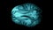 Top view brain with alpha matte. Neurological diseases