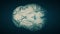 Top View Brain On Blue Background. Neurological Diseases, Tumors And Brain Surgery