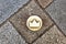 Top view of brass crown marker in cobblestone streets