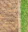 Top view brick walk path and grass land background