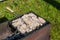 Top view of the browned steaks of red coho salmon fried on charcoal in a barbecue on a summer day in the country. Cooking a