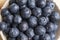 Top view of a bunch of blueberries, close-up