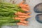 Top view on bunch of freshly picked organic carrots and farmer`s shoes on concrete background. Garden harvest