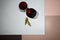 Top view of bunch of grapes on black slate board with glass of red wine and rosemary twigs on colorful backdrop