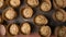 Top view of bunch of raw leavened panettone Italian Christmas cake ready to bake