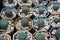 Top view of cactus planted in pots and small lined lots of pictures for nature background.