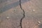 Top view, cement road with cracks in the ground subsidence, image for background.