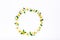 Top view chamomile circle ring of flowers and petals on white background, copy space, flat lay, flower background