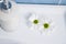 Top view chamomile flowers nears soap dispenser on a white surface of ceramic wash basin in the home bathroom