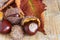 Top view on chestnuts close-up with its spiny wrap and brown leaves on weathered wooden background