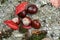 Top view of chestnuts on the ground