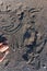 Top view of a child drawing smiley face in a sand