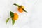 Top view of Clementines on White Marble Background