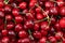 Top view close up of Bing Cherries with stems