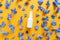 Top view and close-up of mockup  of unbranded white plastic spray bottle and petals of blue hydrangea flowers on orange background