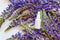 Top view and close-up of unbranded white plastic spray bottle mockup and lupine flowers on a white wooden  background.