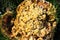 Top view close up of velvet-top fungus or dyerÂ´s polypore phaelus spadiceus or schweinitzii in autumn.