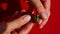 Top view closeup woman hands make purple eggplant shaped marzipan candy