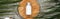 Top view of coconut beauty product in bottle on wooden board near palm leaves, panoramic shot.