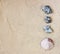 Top view of collection of beach stones rock and shells over sand.