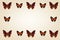 Top view of Collection of  orange  butterflies on set sail champagne background, greeting card