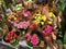 Top view of a colorful large assortment of beautiful bouquets of flowers in the floral store