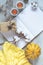Top view composition with pumpkin, candles, cotton plant flower branches, gift, notepad, yellow knitting wool and copy space.