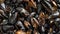 Top view cooked sea mussels rotating background