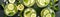 Top View Cool Cucumber Lemonade With Cucumber Slices. Banner For Web. Generative AI