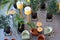 top view of a cozy beautiful cafe with potted trees and soft chairs