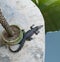 Top view of crocodile near water. Thailand