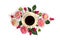 Top view of a cup black tea with flowers dahlia and fuchsia triphylla on a white background. Flat lay