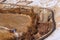 Top view of the curved black road alongside with poplar tress an