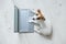 Top view of a cute funny dog at a laptop. Purebred Shorthair Jack Russell Terrier lies on a wooden floor in front of a