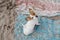 Top view of cute small jack russell terrier dog at the beach. Sitting on dirty sand towels and looking at the camera. Pets