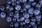 A top view of dark blueberries on a black background. A close-up of nutritious, healthful, tasteful, ripe and raw blueberries.